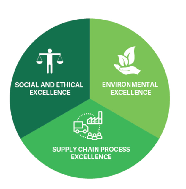 Assess your supply chain’s maturity