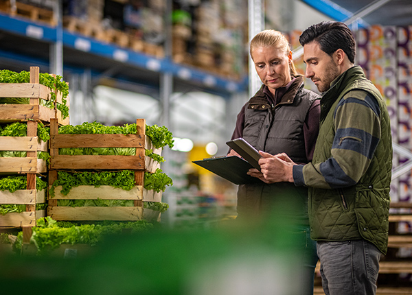 Warehousing and Supply Chain