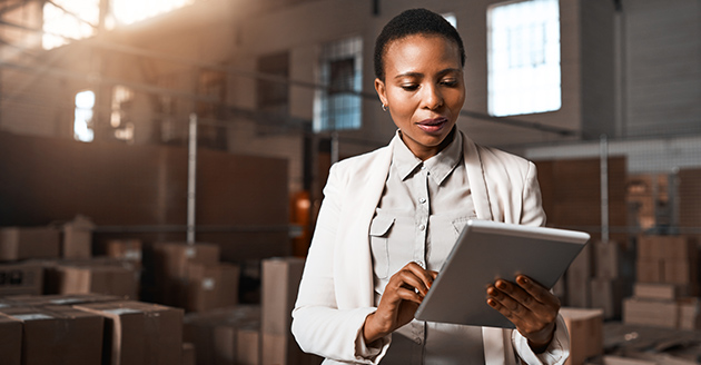 Optimal inventory planning