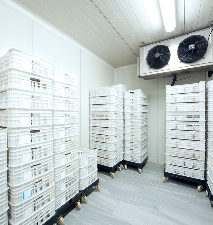 Cold storage warehouses