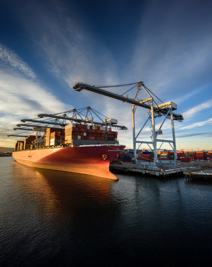 ascm organizational transformation